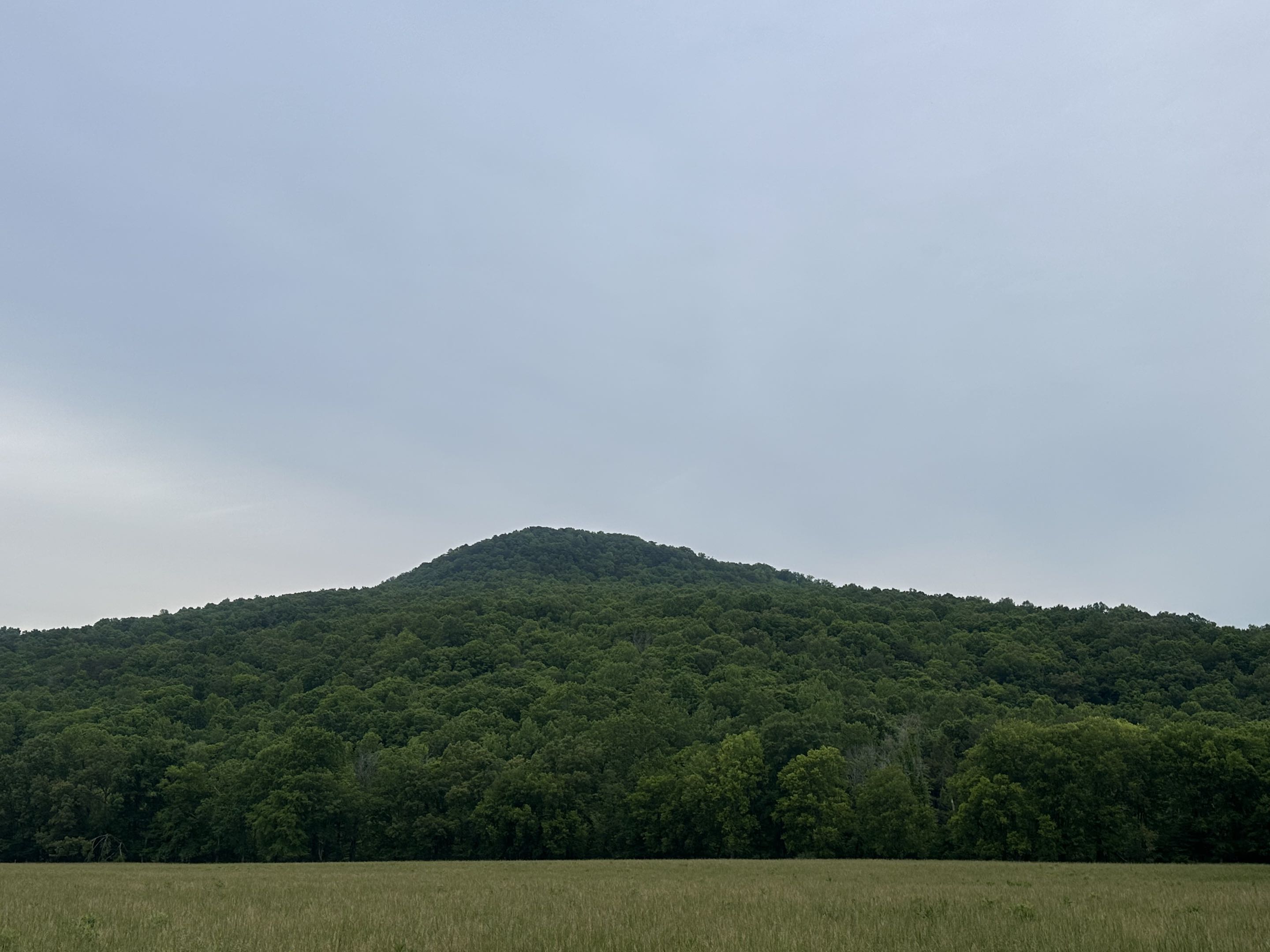 Looking north from Coppinger Cove toward the plateau escarpment